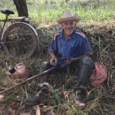 Roça, pequena crônica giovanna penido